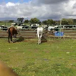Holiday home Llanos *