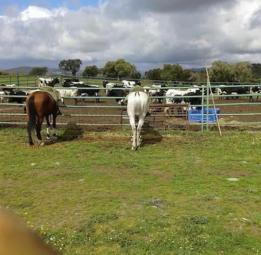 Сasa de vacaciones Llanos *