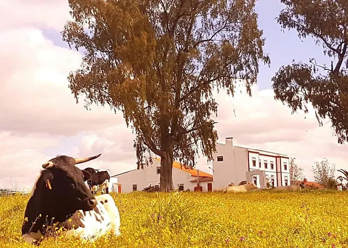 Llanos Сasa de vacaciones