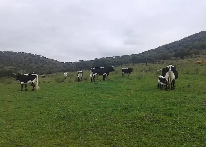 Сasa de vacaciones Llanos