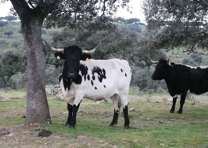 Llanos Сasa de vacaciones *