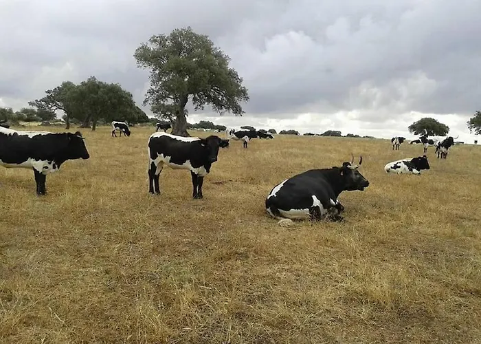 Сasa de vacaciones Llanos Atalaya (Badajoz)