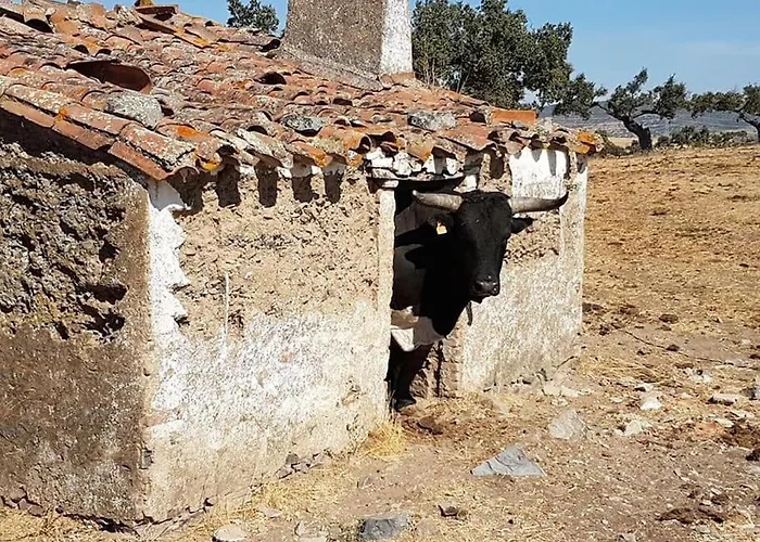 Сasa de vacaciones Llanos *