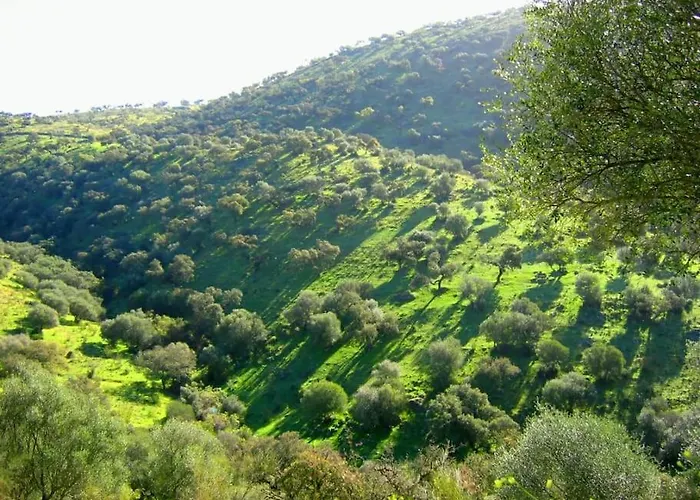 Llanos * Atalaya (Badajoz)