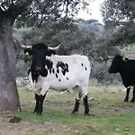 Llanos 度假居 *