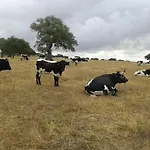 度假居 Llanos Atalaya (Badajoz)