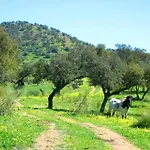 Llanos *