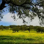 度假居 Llanos *