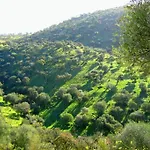 Llanos * Atalaya (Badajoz)