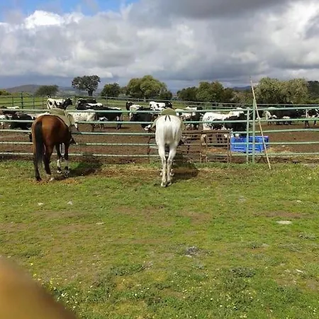 Дом отдыха Llanos *