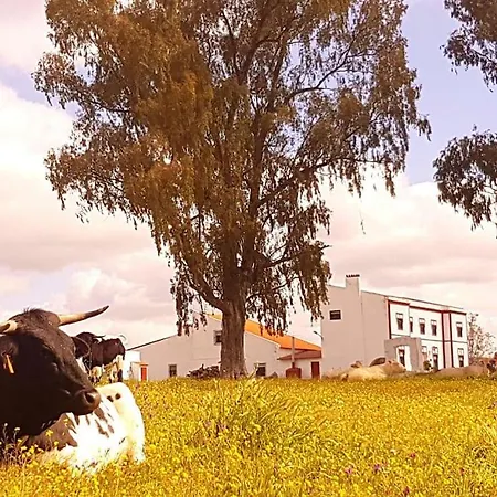 Llanos Casa de Férias