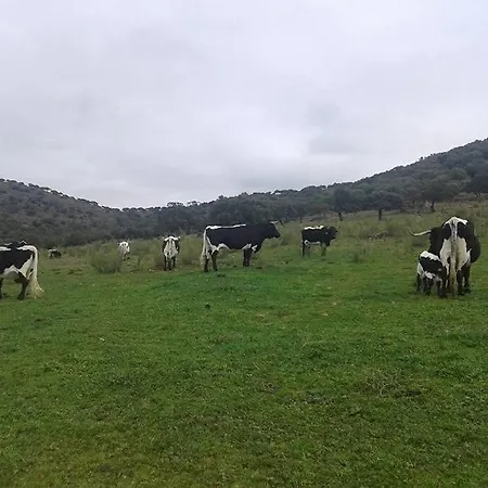 Дом отдыха Llanos