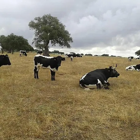 Дом отдыха Llanos Аталая