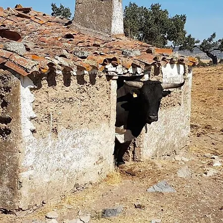 Дом отдыха Llanos *