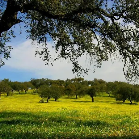 Casa de Férias Llanos *