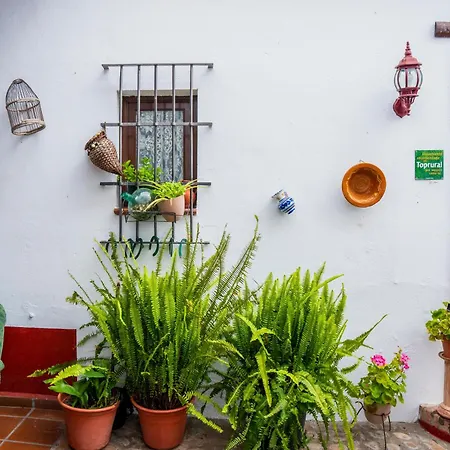 Llanos * Atalaya (Badajoz)