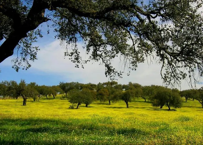 Semesterbostad Llanos *