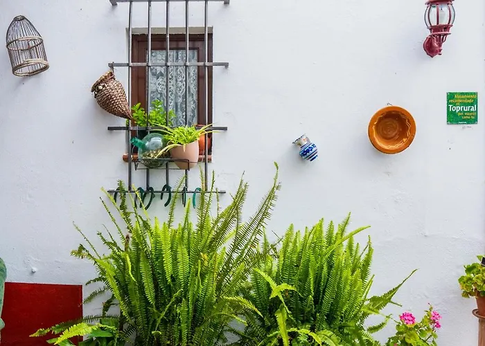 Llanos * Atalaya (Badajoz)